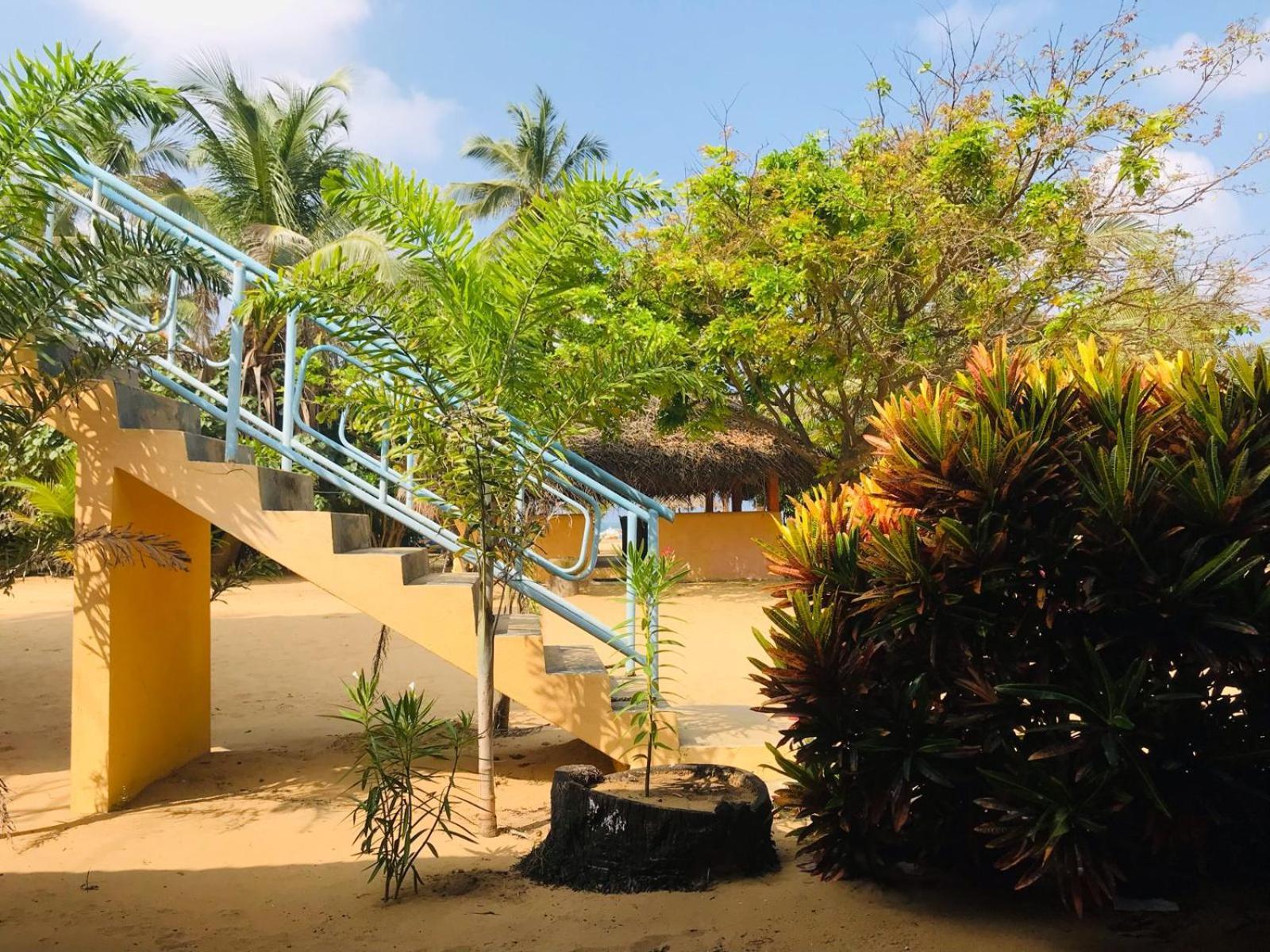 Dolphin Village Alankuda Extérieur photo